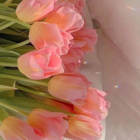 Meet your Posher, Malea - Picture 1 of 1